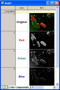 Image Processing Example